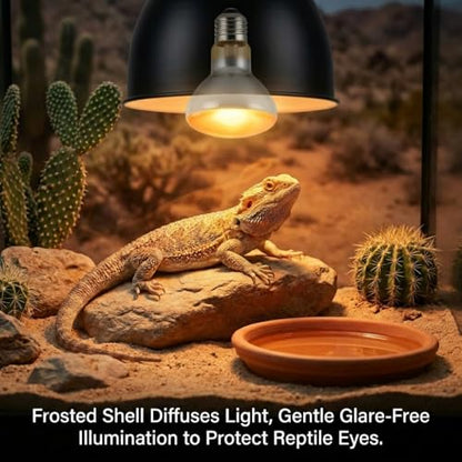100W Reptile Heat Lamp, 2Pack Reptile Heat Lamp Bulbs, UVA Natural Daylight Reptile Basking Bulbs for Reptiles, Bearded Dragon, Lizard, Chicken, Turtle, Snake