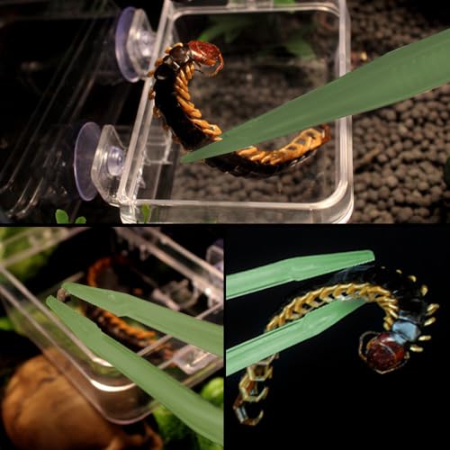 2PCS Reptile Feeding Tongs, 7.1" Aquarium Straight Curved Tweezers Terrarium Feeder Tool with Rubber Tip for Aquatic Plants Lizards Spider