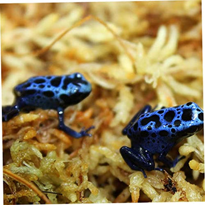 Sphagnum Moss Dried Spagnum Dry Moss for Reptiles Bedding and Terrarium Pet Supplies 150g