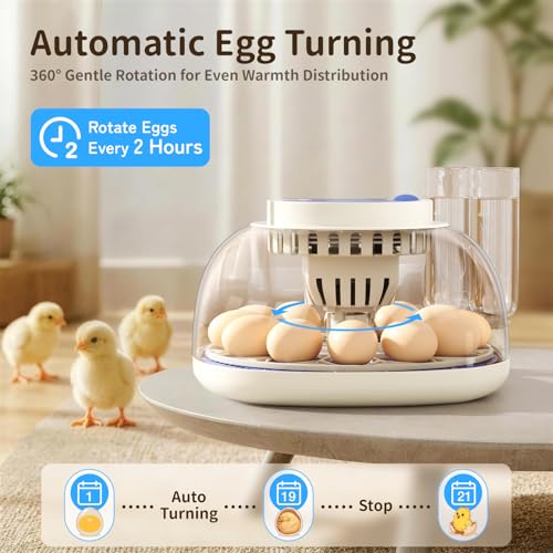 12 Egg Incubators for Hatching Eggs, Temperature and Humidity Control, Automatic Egg Turning, Egg Candler, Automatic Water Refill, for Chicken, Quail & Duck Eggs, Perfect for Home, Farm, Classroom - size: 12 Eggs