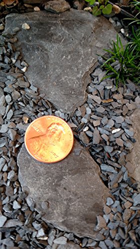 Natural Slate Stone Coarse Sand Less than 1/8" - USA Sourced and Packaged for Basing Models, Wargaming, Mosaic Stone Art, Crafts, Bonsai, Succulents, Miniature or Fairy Gardens (8 ounces) - style: 8oz