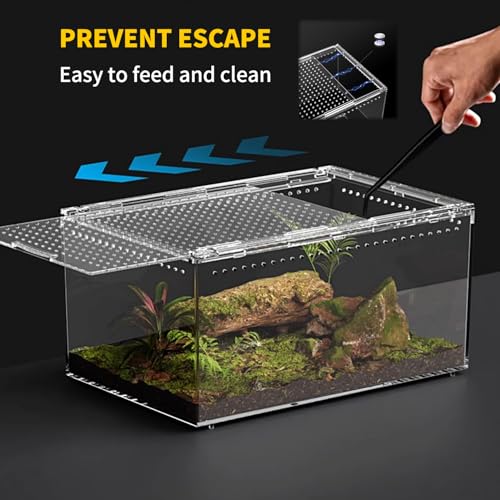 Reptile Growth Reptile PC Terrarium,Tarantula Enclosure,Spider Tank with Magnetic Button.16"x10" x 8" Lizard Enclosure,Reptile Breeding Tank for Insect,Fish,Tarantula,Hermit Crab,Small Bearded Dragon - size: 16" * 10" * 8"