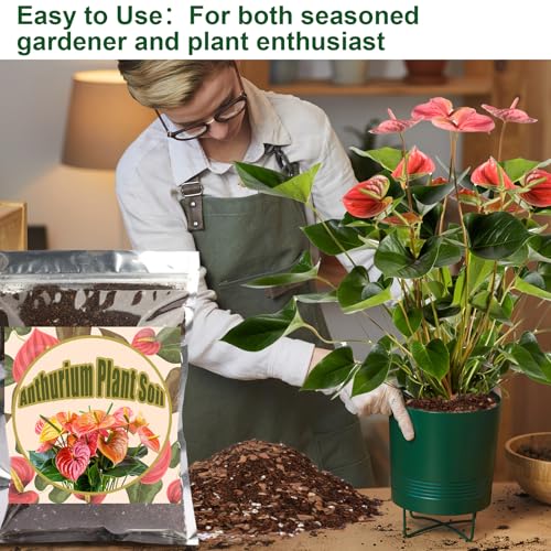 Doter All-Natural Potting Soil for Anthurium & Indoor Plants 2qt - Enhanced Drainage, No Additives | Premium Indoor Plant Soil Mix - size: 2qt