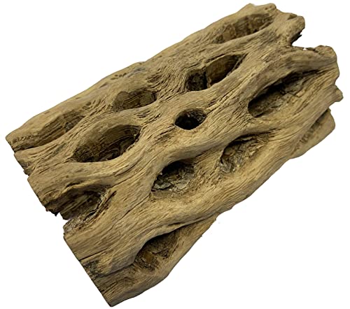 Awesome Aquatic up to 2 in Thick XL Teddy Bear/Chain Fruit/Buckhorn/Staghorn Cholla Wood Hollow Tube Wood Cactus Skeleton Tubes (6 in x up to 2 in) - size: XL 6 in x up to 2 in