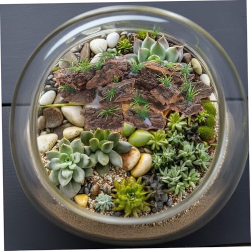 20pcs Natural Cork Bark Decor for Reptile Tank Genuine Terrarium Background Bark for Amphibians and Fish Safe Habitat Accessories