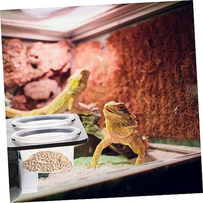 1set Practical Reptile Feeder for Geckos Double Cups Food Bowl Decor for Tank Easy to Clean