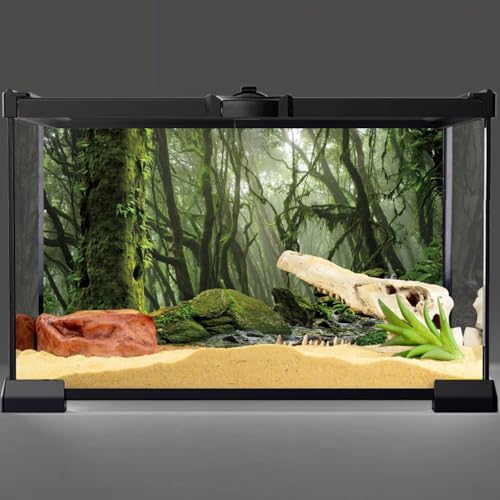 AWERT Foggy Forest Terrarium Background Stream Green Huge Tree Reptile Habitat Tropical Rainforest Aquarium 24x16 inches, 24x16in 60x40cm - size: 24x16in/60x40cm