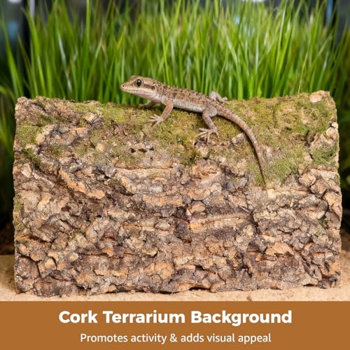 4 Pcs Cork Terrarium Background, 15.7 x 11.8 in Reptile Bark Mat, Natural Climbing Wall Decor for Aquarium, Vivarium, Habitat, Easy Cut
