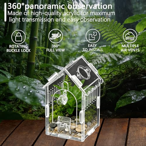 House-Shaped Acrylic Insect Terrarium & Reptile Habitat - Multi-Purpose Insect Enclosure for Jumping Spiders - Clear Acrylic Insect Cage with Ventilation, Easy Maintenance - size: Acrylic House
