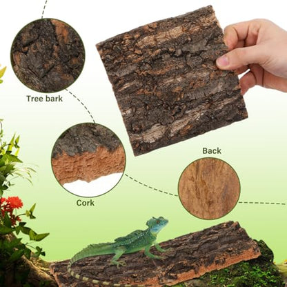 SOIMISS 5 Pcs Reptile Tank Background Cork Bark Sheets for Terrarium Tree Bark Decor Hide Log for Gecko Bearded Dragon Turtle and Lizard Enclosures 5.90 X 5.90 X 0.78 in
