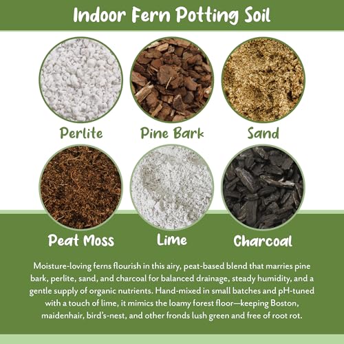 Soil Sunrise Fern Plant Potting Soil Mix (8 Quarts) Custom Hand Blended Mixture for Indoor/Outdoor Container Gardening