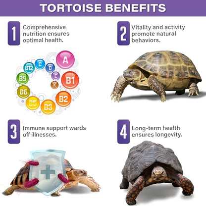 Gargeer Bounce Back Tortoise Immune & Recovery Support Powder Supplement 3oz, Electrolytes, Vitamin C & Immune Support for Sulcata, Red Foot & All Tortoise Species. Made in the USA. Enjoy!