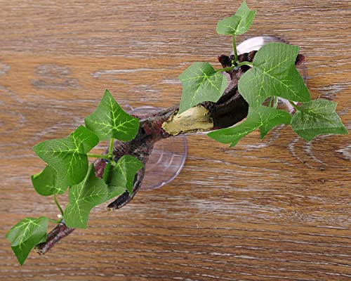 IBWell Resin Reptile Corner Branch Terrarium Plant Decoration with Suction Cup for Amphibian Lizard Snake Climbing Ornament - style: vine branch