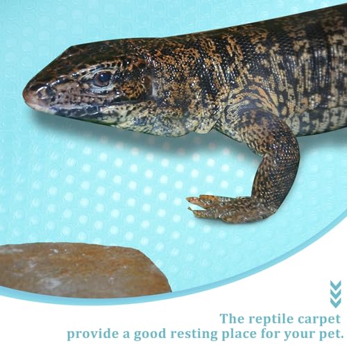 Abaodam Reptile Substrate Mat Soft Carpet for Bearded Dragon Gecko Lizard Tortoise Tank Liner Non-Absorbent Washable Terrarium Bedding Accessory