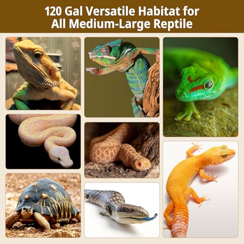120 Gallon Bearded Dragon Tank,48"x24"x24"Bamboo Reptile Enclosure Also for Snake,Bearded Dragon,Turtle with Sliding Door Top Screen Ventilation,Stackable Large Reptile Terrariums - size: 48"x24"x24"