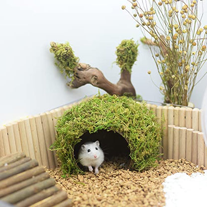 Hamster Hideaway/Hideout,Mossy Cave Hide,Hamster House/Hides,Hamster Cage Accessories for Gguinea Pig/Hedgehogs/Gliders/Rats/Mice and Other Small Animals(Set) - size: Cave, Set