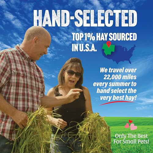 Small Pet Select Orchard Hay, Grass for Rabbit, Guinea Pig, Bunny, Chinchilla and Other Small Animals, Premium Natural Hay Grown in The US, Pet Food, 40 lb - size: 40 Pound (Pack of 1)