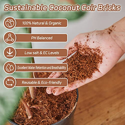 Riare 10pcs Organic Coco Coir Bricks Soil Blocks- 100% Natural Compressed Coco Peat Brick Coconut Fiber Substrate with Low EC& pH Balance, High Expansion Coco Coir Pith Coconut Husk for Garden - color: Pack of 10