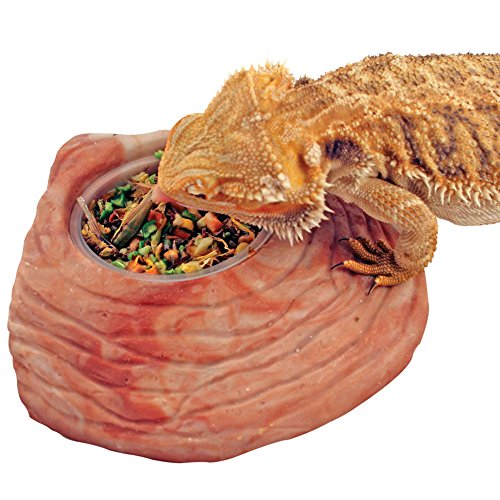 Healthy Herp Bearded Dragon Food Instant Meal for Reptiles - Nutritious Bearded Dragon Accessories, Bearded Dragon Food - Made in USA - for Box Turtles, Lizards, Tortoises - 7 x 0.2 oz (5.7g) Cups - size: 0.2 Ounce (Pack of 7), style: 7-Pack Cups