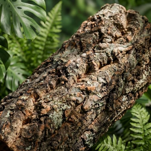 SHINEOFI Natural Cork Bark for Reptiles 9x4x3. 5" Wood Cork Rounds Tube Hide Reptile Bark Decor for Gecko Lizard Snake Spiders Bearded Dragons Tank Terrariums Turtle Tanks and Bird Cages Decor