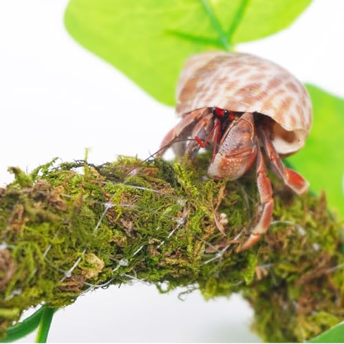 Hermit Crab Climbing Toy with Artificial Vines, 25 Inch Bendable Hermit Crab Supplies, Great Accessory for 10 Gallon Hermit Crab Tank