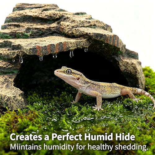Large Resin Reptile Tank Accessories Hideouts Cave Habitat Decor for Leopard Gecko Lizards Turtle Toad Bearded Dragon, Realistic Rock Reptile Hide Cave, Durable Reptile Shelter for Terrarium