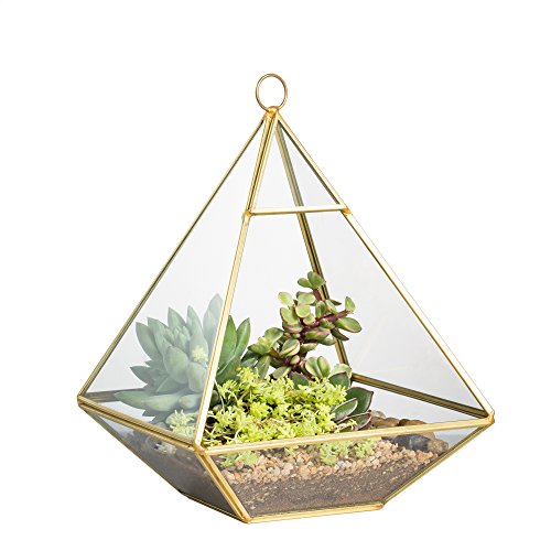 NCYP Geometric Glass Terrarium for Succulent, Air Plants - 5.9x5.9x7.87 Inches - Wall Hanging Glass Planter Pot, Home Garden Tabletop Decoration, Gold (Terrarium Only)