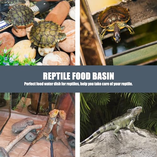 Garneck Reptile Food Basin with Suction Cup, 2pcs Stable Lizard Feeder Bowls Large Capacity Water and Feeding Dish for Lizards, Geckos, Frogs, and Crawling Pets