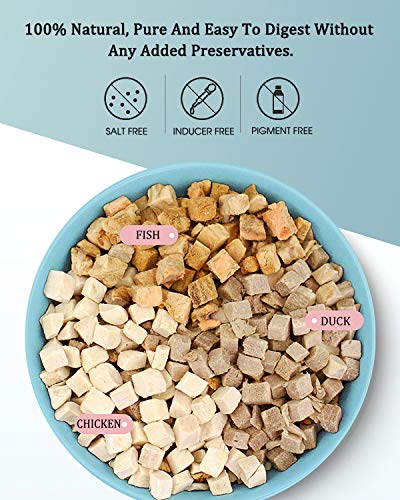 3 in 1 Meat Turtle Food - Chicken & Duck & Fish Meat Natural Freeze Dried Human-Grade Turtle Treats - color: 4 OZ