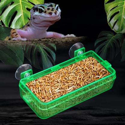 Reptile Feeder Chameleon Bowl 2 Pcs Anti-Escape Food Dish Bowl with Suction Cup for Chameleon Iguana Lizard Reptile Food and Water Feeding (Green, M) - color: Green, size: M
