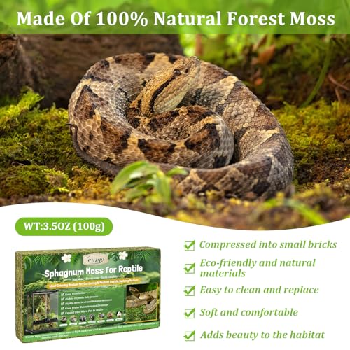 Legigo 3.5 OZ Sphagnum Moss for Reptile- 4 QT Natural Reptile Moss Terrarium Moss Substrate, Snake Tank Moss Peat Moss Reptile Bedding for Snake, Gecko, Ball Python, Frog and Orchids Plants - size: 3.5 OZ