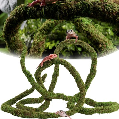 USMOLA Moss Vine for Reptiles, Bendable Climbing Vines Reptile Tank Accessories, Natural Moss Rope for Leopard Gecko, Lizard, Snake, Chameleon, Frog Terrarium Decor (Jungle Green, 9.8 FT) - size: 9.8 FT