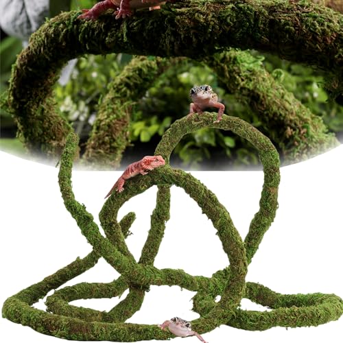 USMOLA Moss Vine for Reptiles, Bendable Climbing Vines Reptile Tank Accessories, Natural Moss Rope for Leopard Gecko, Lizard, Snake, Chameleon, Frog Terrarium Decor (Jungle Green, 9.8 FT) - size: 9.8 FT
