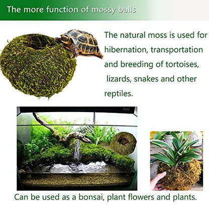 Hamiledyi Reptile Moss Cave Hide,Crested Gecko Habitat Hammock Green Moss Accessories Plastic Terrarium Plant Vines for Small Bearded-Dragon,Snakes,Chameleon Climbing Hibernation Sleeping