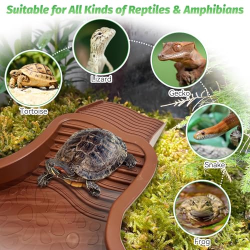PINVNBY Large Reptile Bathing Pool Tortoise Water Dish with Removable Ramp and Leaf Reptile Food Dish & Water Bowl Tortoise Habitat Accessories for Turtle Lizard Gecko Snake (Red)