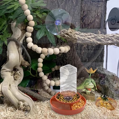 2 in 1 Reptile Food Feeders Bowl Water Bottle, Automatic Water Dispenser Reptile Feeder Kit for Amphibian Lizard Bearded Dragon Snake Feeding (Orange) - color: Orange
