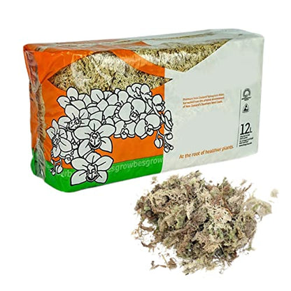 Sphagnum Moss Dried Spagnum Dry Moss for Reptiles Bedding and Terrarium Pet Supplies 150g, Dried, Sphagnum