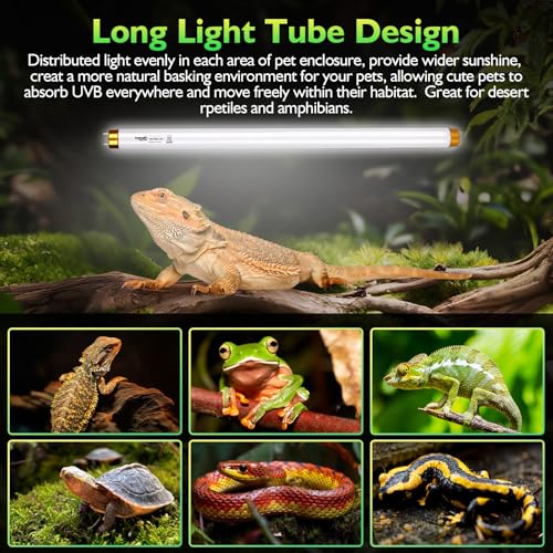 UVB Light for Reptiles Bearded Dragon, 2 Pack T8 UVB Reptile Light UVB Bulb 10.0 17W UVA UVB Reptile Light Bulb Terrarium Light Lamp Tube for Turtle Chameleon Leopard Gecko Snake Tank, 24 Inch - size: T8-24 Inch(2 Pack)