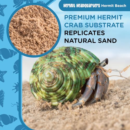 Fluker's All Natural Premium Hermit Crab Sand Substrate, Sand Mixture with Coconut Fiber, for Hermit Crab Tanks, 12 lbs. (Pack of 2) - size: 12 LBS (Pack of 2)