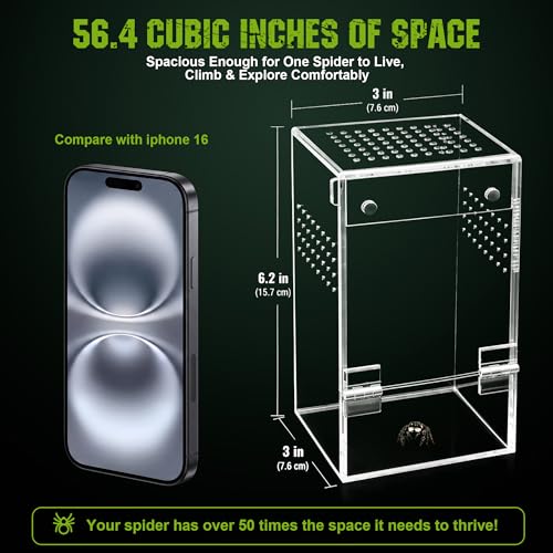 3"x3"x6.2" Jumping Spider Enclosure Kit – Escape-Proof Terrarium for Jumping Spiders, Small Insects – Complete Habitat with Spider Cage, Plants, Moss, and Accessories – Ideal Starter Kit
