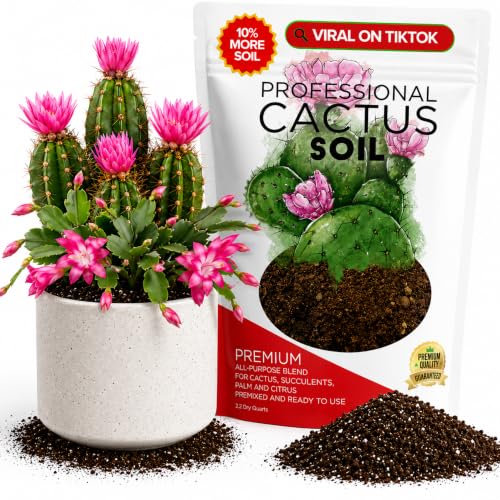 Professional Cactus Soil Mix Large 2.2 Quarts Ready to Use, Premium Fast Draining Potting Soil for Cactus and Succulents, Peat Moss Coco Coir Perlite Dolomite Blend Indoor Plant Soil Made in USA - color: Cactus Soil, size: 2.2 Quarts