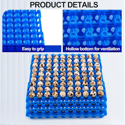 Teenyyou 10 Pcs 90 Egg Plastic Trays Quail Egg Flats Holder for Quail Pigeon Dove Bird Flat Carton (Blue) - color: Blue