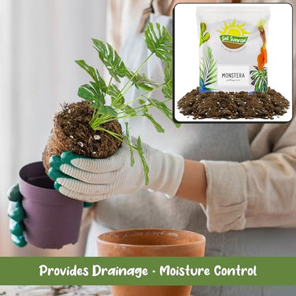 Soil Sunrise Monstera Houseplant Potting Soil Mix (8 Quarts) Custom Blend for Growing and Repotting - size: 8 Quarts