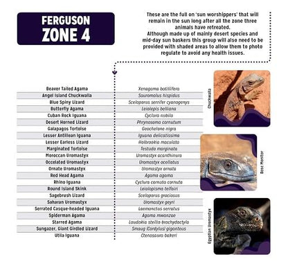 Reptile Systems T5 Ferguson Zone 4 Lamp – 48in, 54W – High Output Lighting for Reptiles, Crested Geckos, Chameleons, Leopard Geckos – Ideal for Vivariums and Tanks