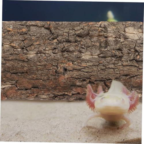 3pcs Bark Background for Reptile Terrariums Decor for Fish Tanks Comfortable Habitat for Snakes Lizards More