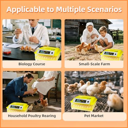 Egg Incubator for Hatching Eggs, 56 Egg Capacity with Automatic Egg Turner | Digital Humidity Control, Clear Temperature Display, Externa, 360° Clear Viewing for Poultry, Ducks, Quail