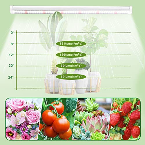 GYTF T5 Grow Lights, 408 LED-Bulb White Full Spectrum High PPFD Plant Light Strips for Indoor Plants Growing, Greenhouse, Seeds Starting, Succulents, Expandable Design (8x10W, 400W Equivalent) - size: 8 Count (Pack of 1)