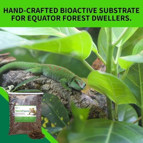 The Bio Dude Terra Fauna Bioactive Reptile Substrate 36 Quart for terrariums and vivariums. Bioactive Habitat Substrate for Crested Geckos, Gargoyle Geckos, Day Geckos, Frogs and Some arachnids