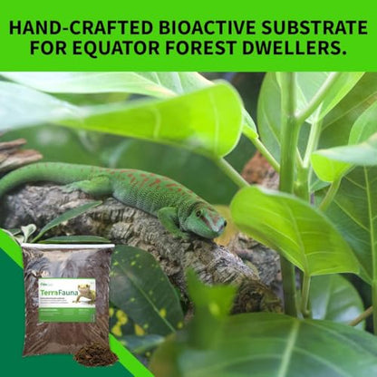 The Bio Dude Terra Fauna Bioactive Reptile Substrate 6 quarts for Terrarium and Vivarium Habitat. Great for Crested Geckos, Gargoyle Geckos, Day Geckos, Whites Tree Frogs and Indoor Gardening
