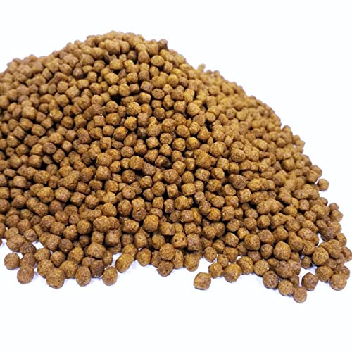 Aquatic Turtle Diet, 5/32" Round Floating Pellets for Freshwater Turtles, Painted, Pond, Red-Eared, Baby Box, Slider Turtles and More.…8oz Small Jar - size: 8 Ounce (Pack of 1)
